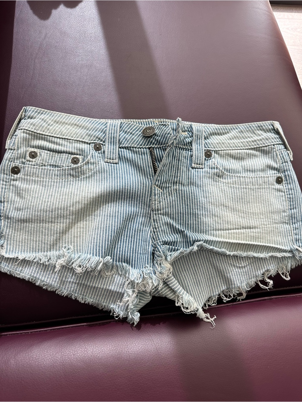 True Religion Bobby Cut-Off Striped Light Blue Denim Frayed Hem Women’s Shorts